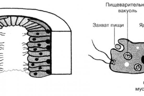 Кракен даркне