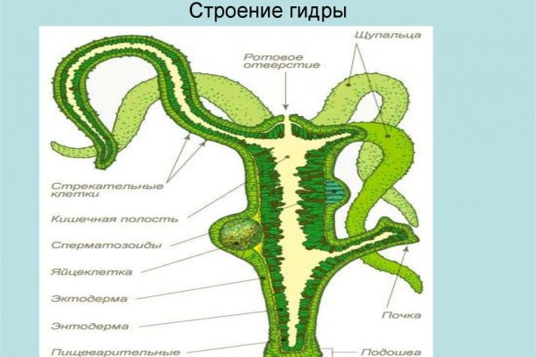 Кракен сбой